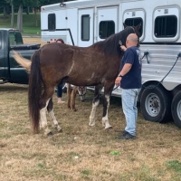 109230365_3212739778783296_5757486387658998303_n